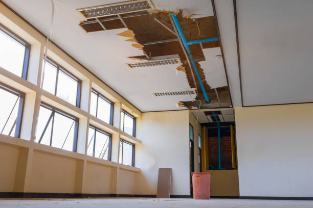 Best Commercial water damage restoration  in Roosevelt, NJ