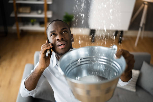 Best Water damage repair service  in Roosevelt, NJ