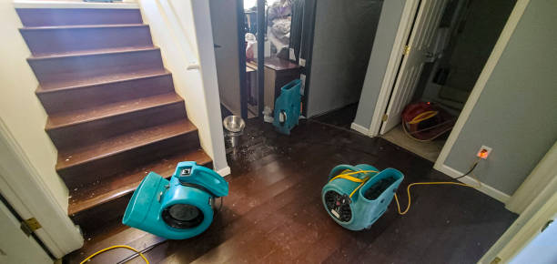 Best Commercial water damage restoration  in Roosevelt, NJ