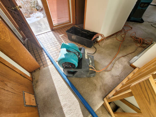 Best Water damage restoration near me  in Roosevelt, NJ