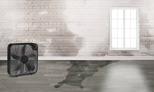 Best Flood restoration services  in Roosevelt, NJ