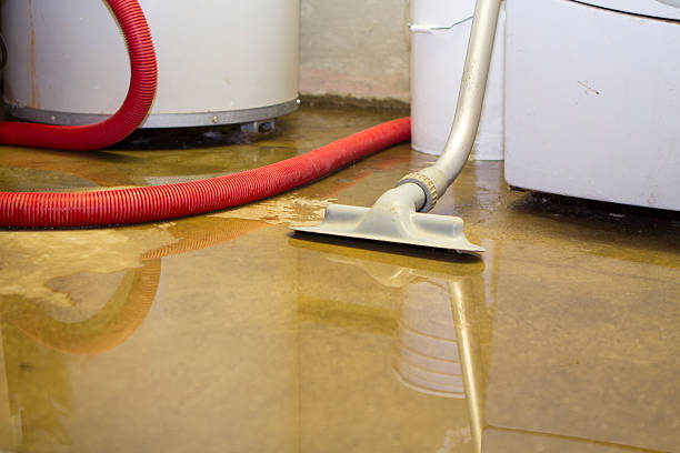 Best 24-hour water damage restoration  in Roosevelt, NJ